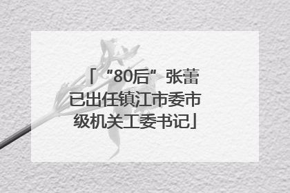 “80后”张蕾已出任镇江市委市级机关工委书记
