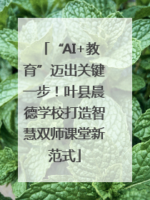 “AI+教育”迈出关键一步！叶县晨德学校打造智慧双师课堂新范式