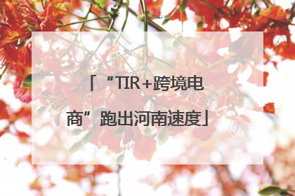 “TIR+跨境电商”跑出河南速度