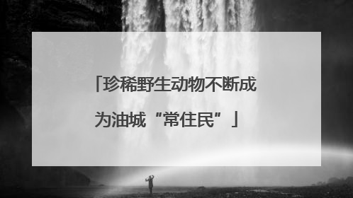 珍稀野生动物不断成为油城“常住民”