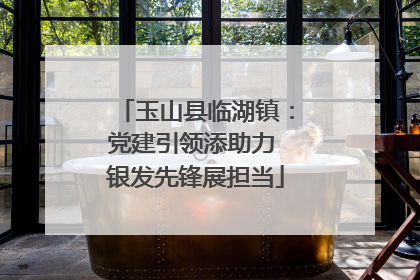 玉山县临湖镇：党建引领添助力 银发先锋展担当