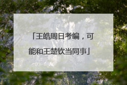 王皓周日考编，可能和王楚钦当同事