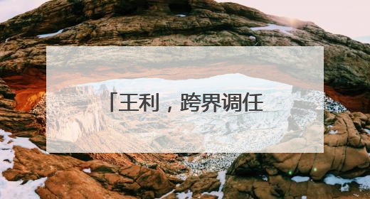 王利，跨界调任大型国企董事长