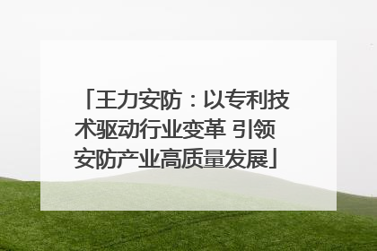 王力安防：以专利技术驱动行业变革 引领安防产业高质量发展