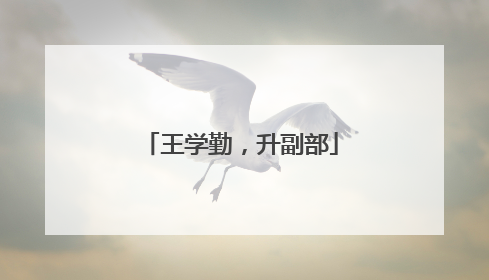 王学勤，升副部