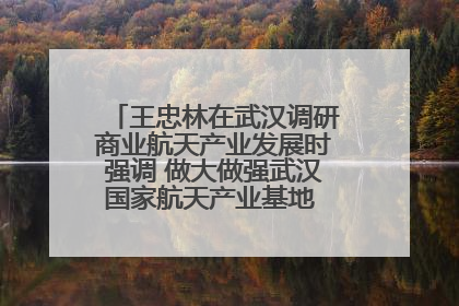 王忠林在武汉调研商业航天产业发展时强调 做大做强武汉国家航天产业基地 打造具有全国影响力的“中国星谷”