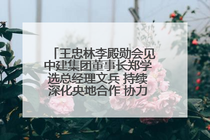 王忠林李殿勋会见中建集团董事长郑学选总经理文兵 持续深化央地合作 协力推动支点建设