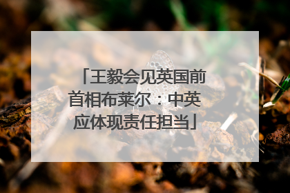 王毅会见英国前首相布莱尔：中英应体现责任担当