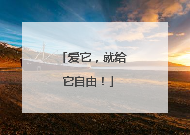 爱它，就给它自由！