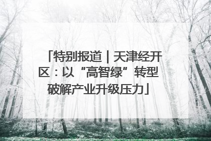 特别报道｜天津经开区：以“高智绿”转型破解产业升级压力