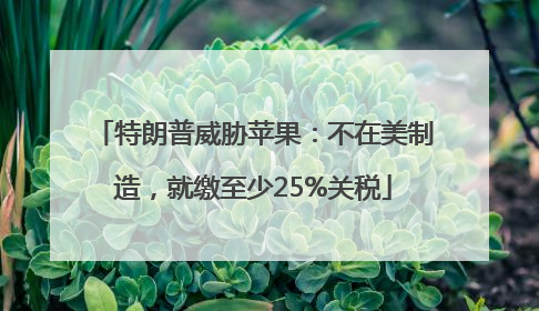 特朗普威胁苹果：不在美制造，就缴至少25%关税