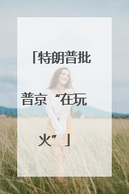 特朗普批普京“在玩火”