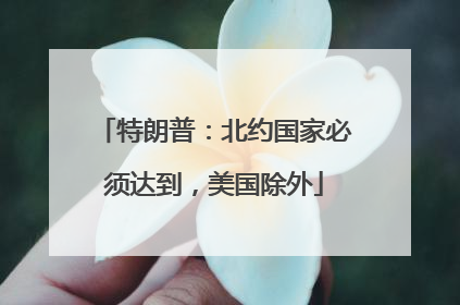 特朗普：北约国家必须达到，美国除外