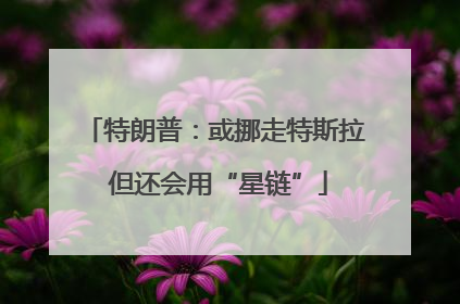 特朗普：或挪走特斯拉 但还会用“星链”
