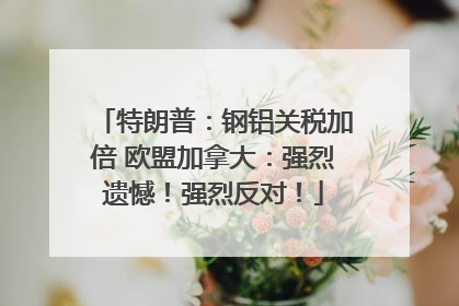 特朗普：钢铝关税加倍 欧盟加拿大：强烈遗憾！强烈反对！