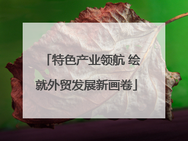 特色产业领航 绘就外贸发展新画卷