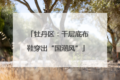 牡丹区：千层底布鞋穿出“国潮风”