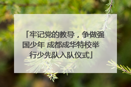 牢记党的教导，争做强国少年 成都成华特校举行少先队入队仪式