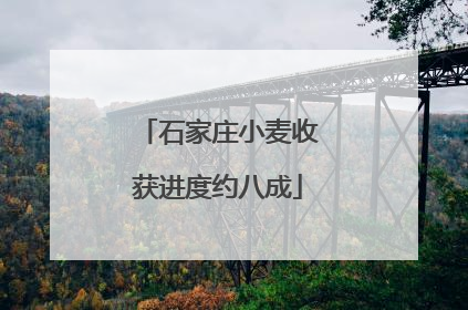 石家庄小麦收获进度约八成