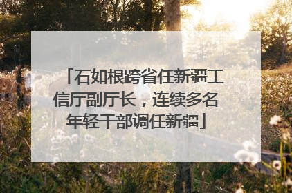 石如根跨省任新疆工信厅副厅长，连续多名年轻干部调任新疆