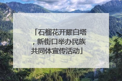 石榴花开耀白塔，新街口举办民族共同体宣传活动