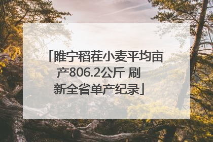 睢宁稻茬小麦平均亩产806.2公斤 刷新全省单产纪录
