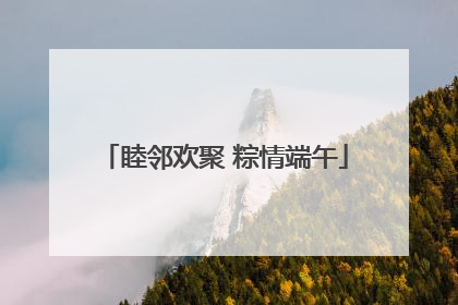 睦邻欢聚 粽情端午
