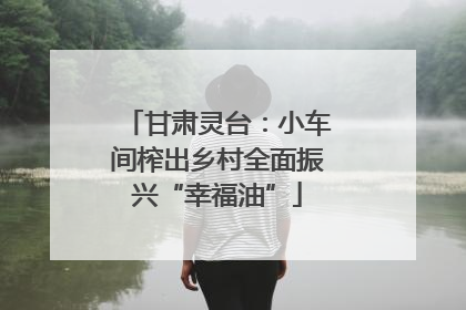 甘肃灵台：小车间榨出乡村全面振兴“幸福油”