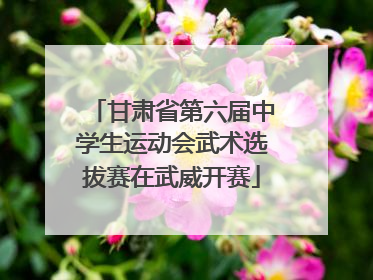 甘肃省第六届中学生运动会武术选拔赛在武威开赛