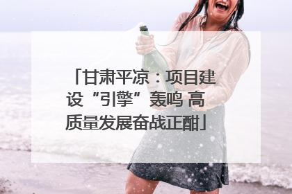 甘肃平凉：项目建设“引擎”轰鸣 高质量发展奋战正酣
