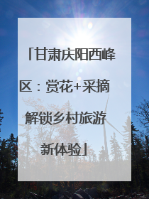 甘肃庆阳西峰区：赏花+采摘 解锁乡村旅游新体验