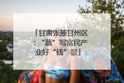 甘肃张掖甘州区：“蔬”写富民产业好“钱”景