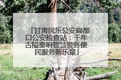 甘肃民乐公安扁都口公安检查站：千年古隘奏响智慧警务便民服务新乐章
