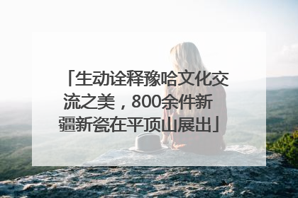 生动诠释豫哈文化交流之美，800余件新疆新瓷在平顶山展出