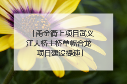 甬金衢上项目武义江大桥主桥单幅合龙 项目建设提速
