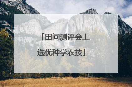 田间测评会上选优种学农技