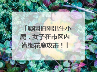 疑因拍刚出生小鹿，女子在市区内遭梅花鹿攻击！
