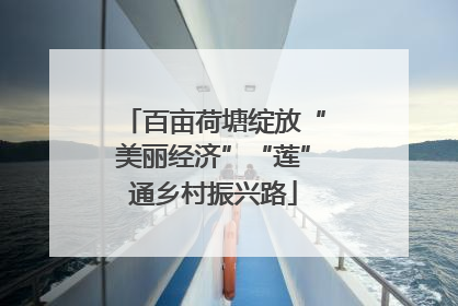 百亩荷塘绽放“美丽经济”“莲”通乡村振兴路