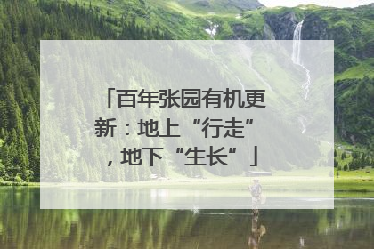 百年张园有机更新：地上“行走”，地下“生长”