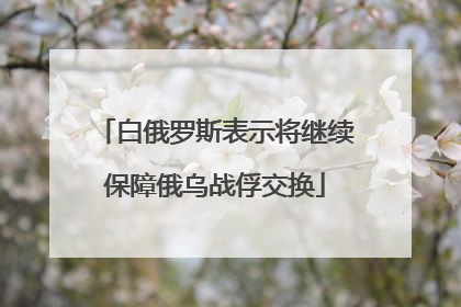 白俄罗斯表示将继续保障俄乌战俘交换