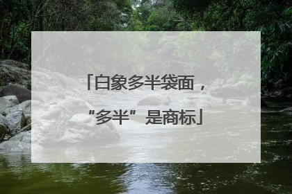 白象多半袋面，“多半”是商标