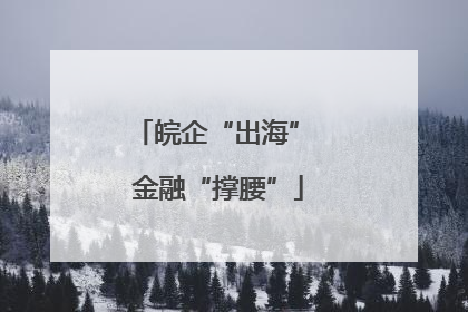 皖企“出海” 金融“撑腰”