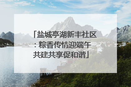 盐城亭湖新丰社区：粽香传情迎端午 共建共享促和谐