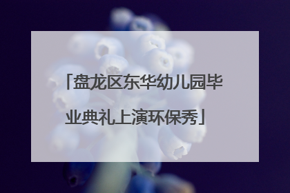 盘龙区东华幼儿园毕业典礼上演环保秀
