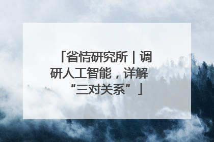 省情研究所｜调研人工智能，详解“三对关系”