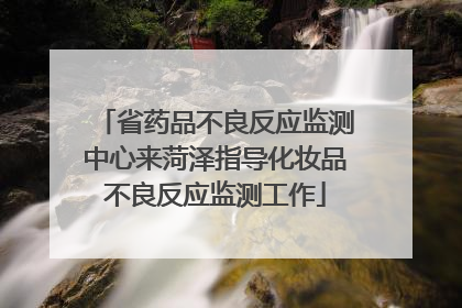 省药品不良反应监测中心来菏泽指导化妆品不良反应监测工作