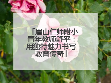 眉山仁师附小青年教师舒平：用独特魅力书写教育传奇