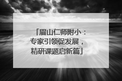 眉山仁师附小：专家引领促发展，精研课题启新篇