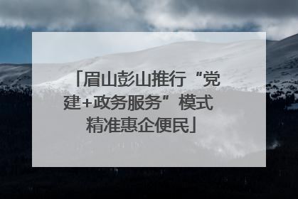 眉山彭山推行“党建+政务服务”模式 精准惠企便民