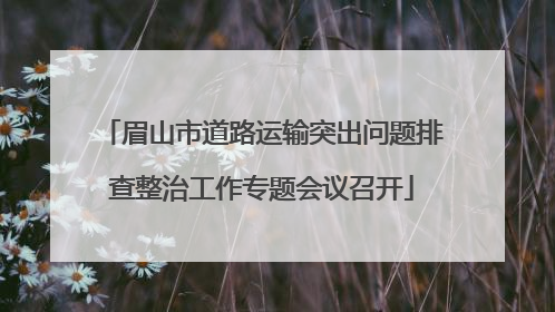 眉山市道路运输突出问题排查整治工作专题会议召开